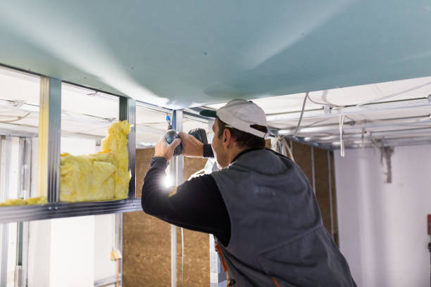 Best Cellulose Insulation in Petersburg, IN
