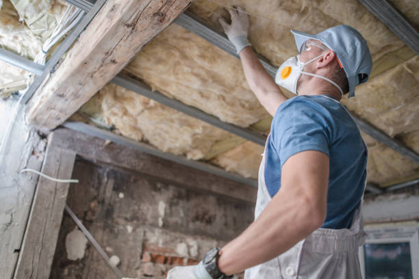 Best Insulation for Specific Applications in Petersburg, IN