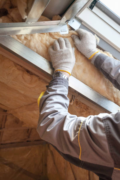 Best Energy Efficiency Insulation in Petersburg, IN