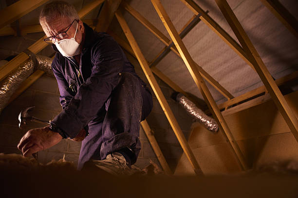 Best Insulation Maintenance and Repair in Petersburg, IN